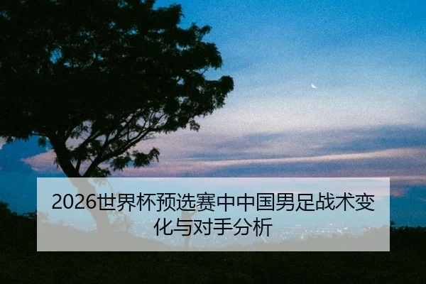 shi-jie-bei-yu-xuan-sai-zhong-zhong-guo-nan-zu-zhan-shu-bian-hua-yu-dui-shou-fen-xi-2-208.jpg