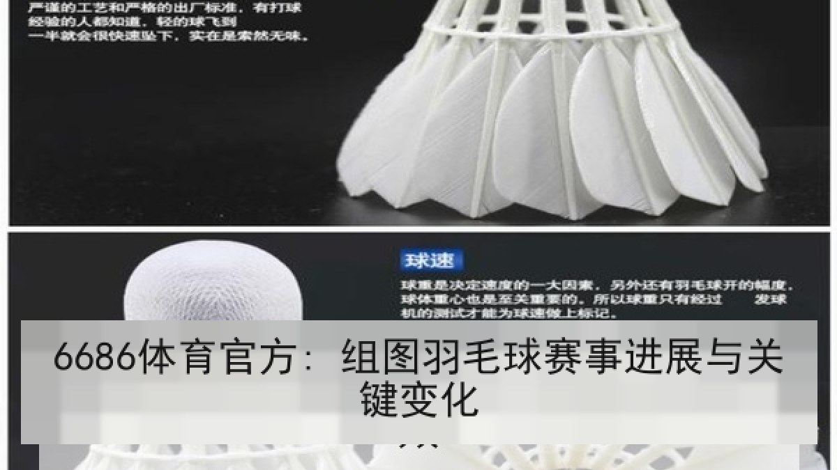 6686体育官方: 组图羽毛球赛事进展与关键变化
